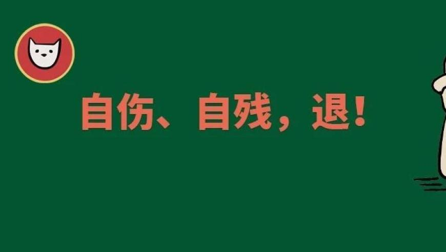 轻松拿捏多才多艺,626969cm开奖结果查询,最佳精选解释落实_工具版V9.75