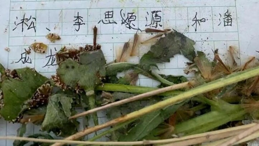 赢彩票二四六天天彩旺角,退货被店家说买不起就别买平台赔300元,社会责任方案执行_终极版V7.13